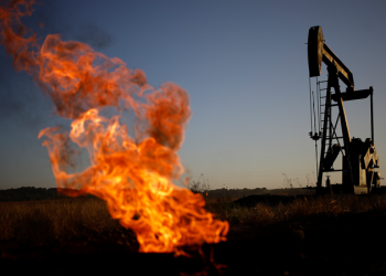 Climate justice group that trains federal judges accused of ‘corruptly influencing courts’