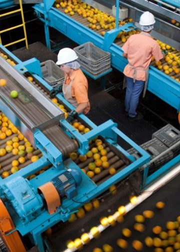 Orange juice importer says Brazil tariffs will squeeze American consumers